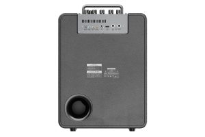 اسپیکر بلوتوثی ۱۱۰ وات دبلیو کینگ W-King T6 - Image 3