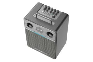 اسپیکر بلوتوثی ۱۱۰ وات دبلیو کینگ W-King T6 - Image 6